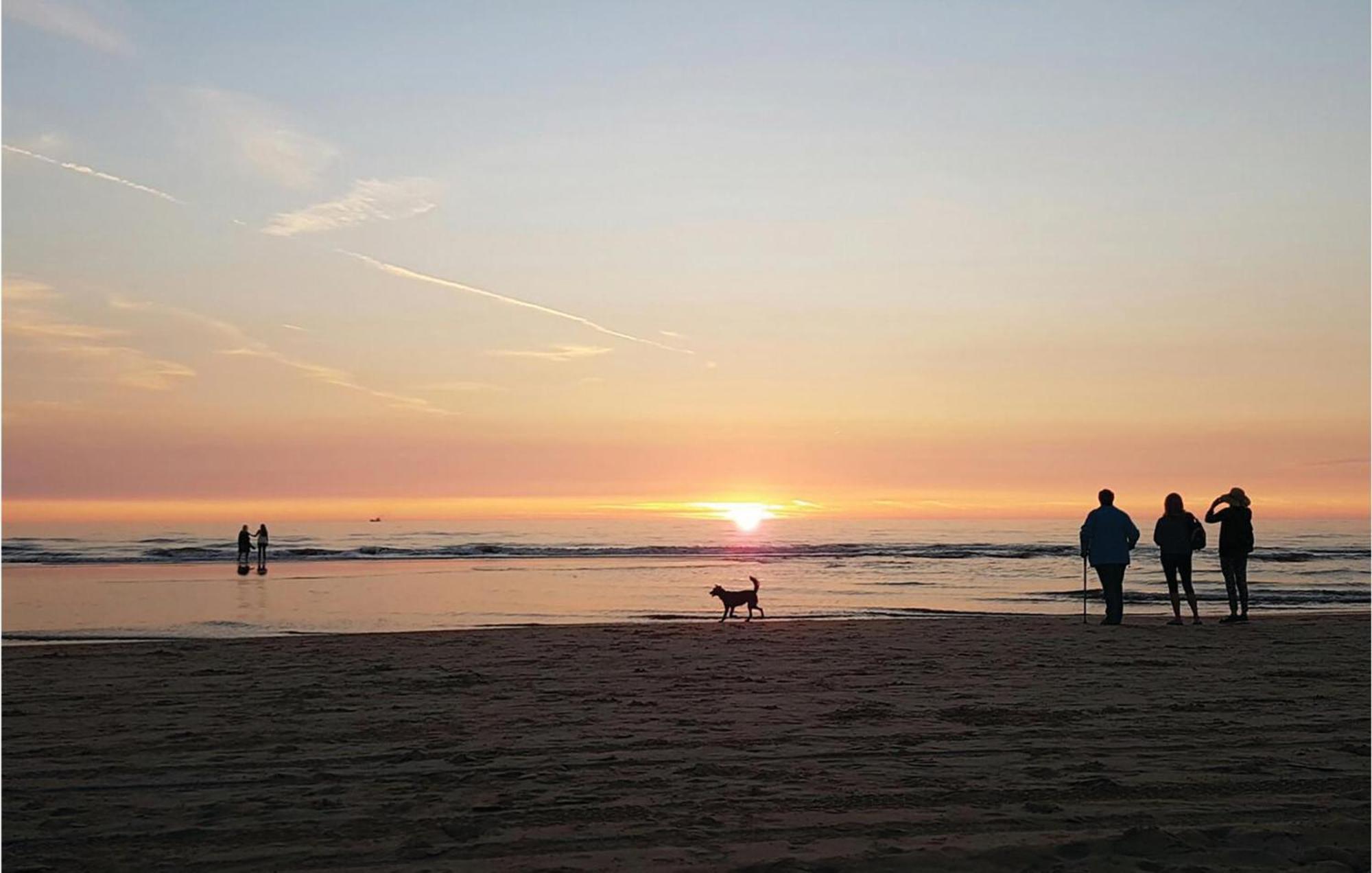 Holiday home 2 Bedroom Pet Friendly Home In Egmond Aan Zee Egmond aan Zee